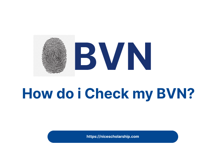 How do i check my BVN?